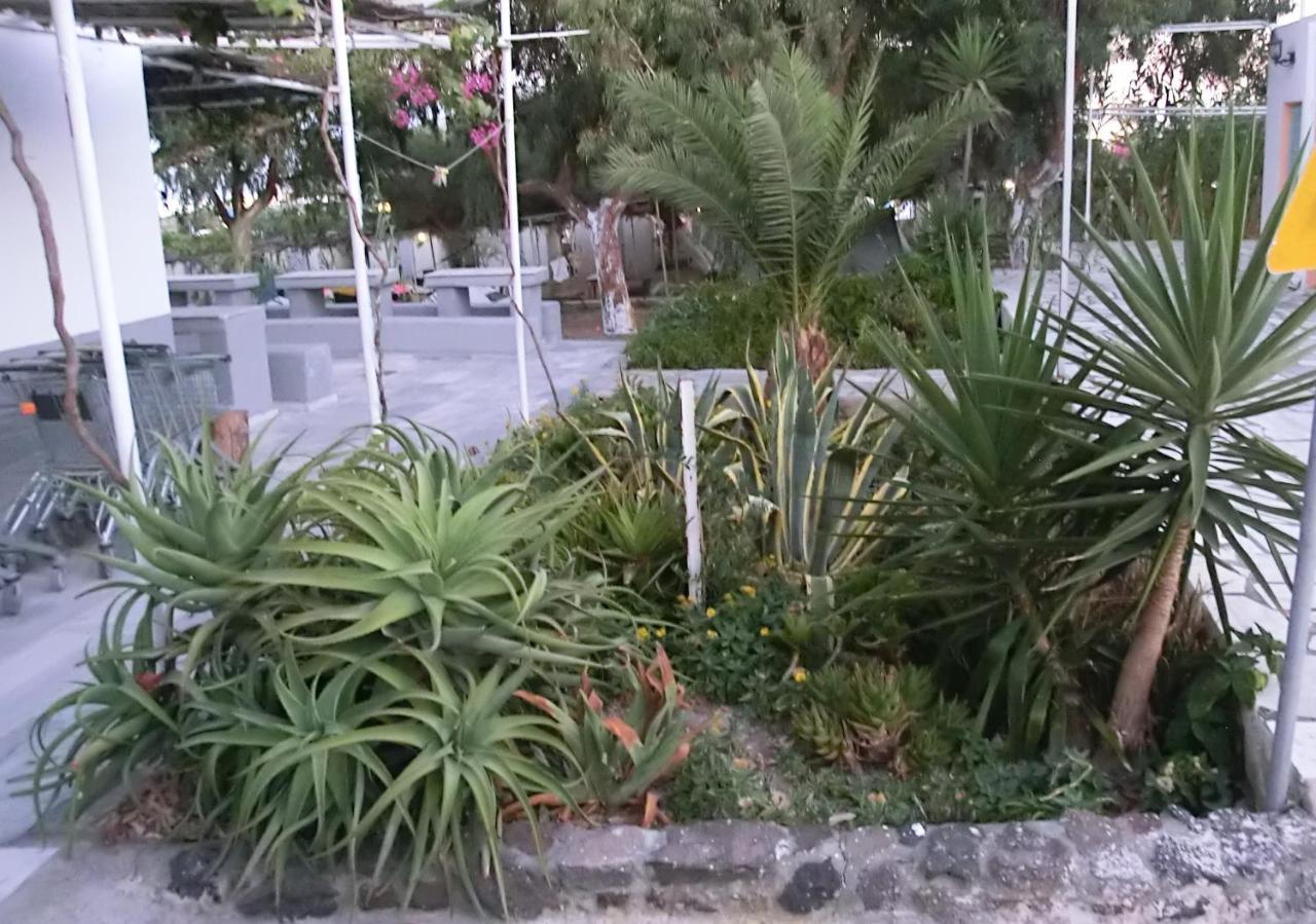 Santorini Camping & Hostel ฟิรา ภายนอก รูปภาพ