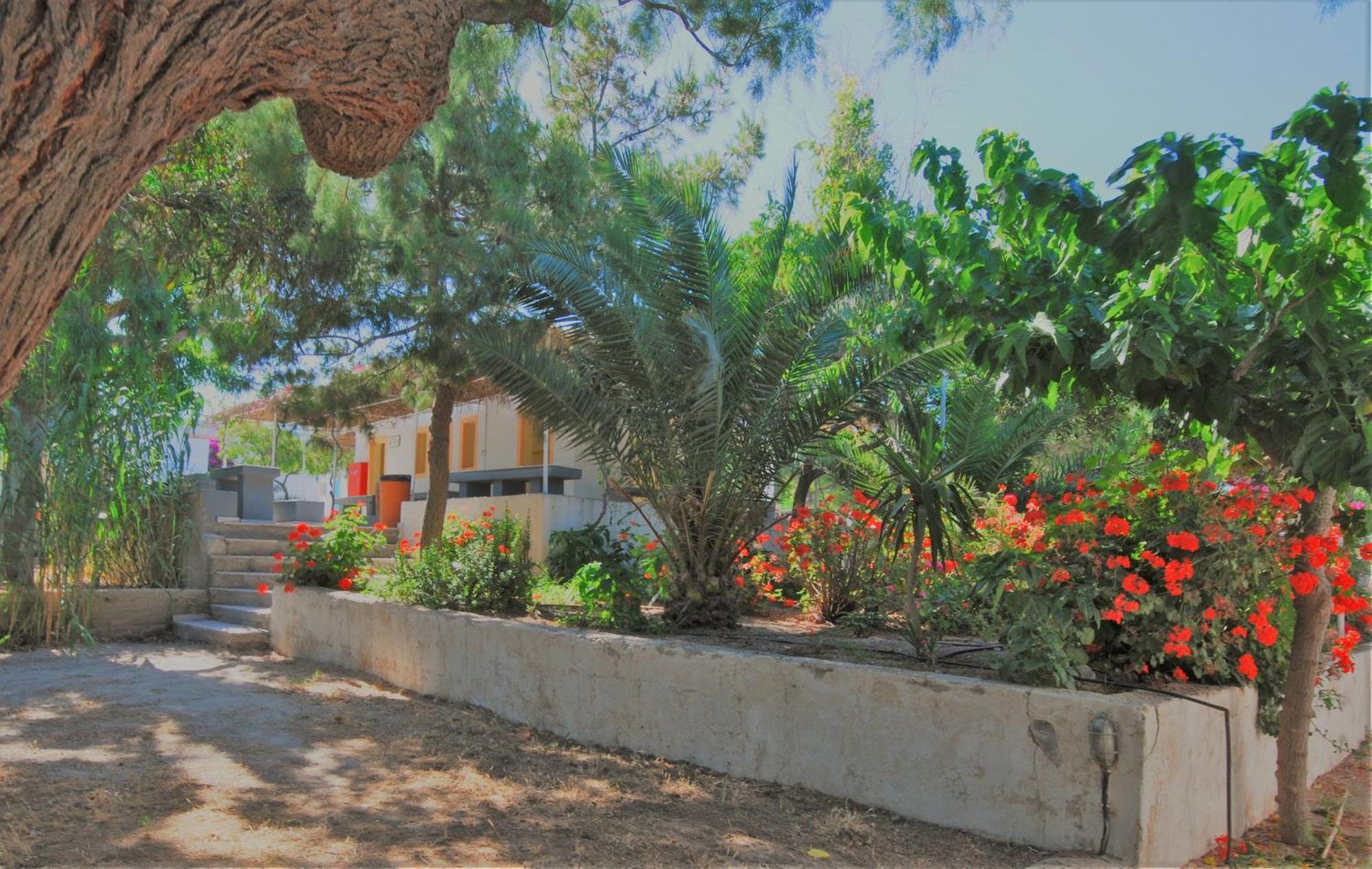 Santorini Camping & Hostel ฟิรา ภายนอก รูปภาพ